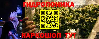 мдпв Мариинск
