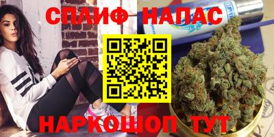 мяу мяу мука Малоярославец