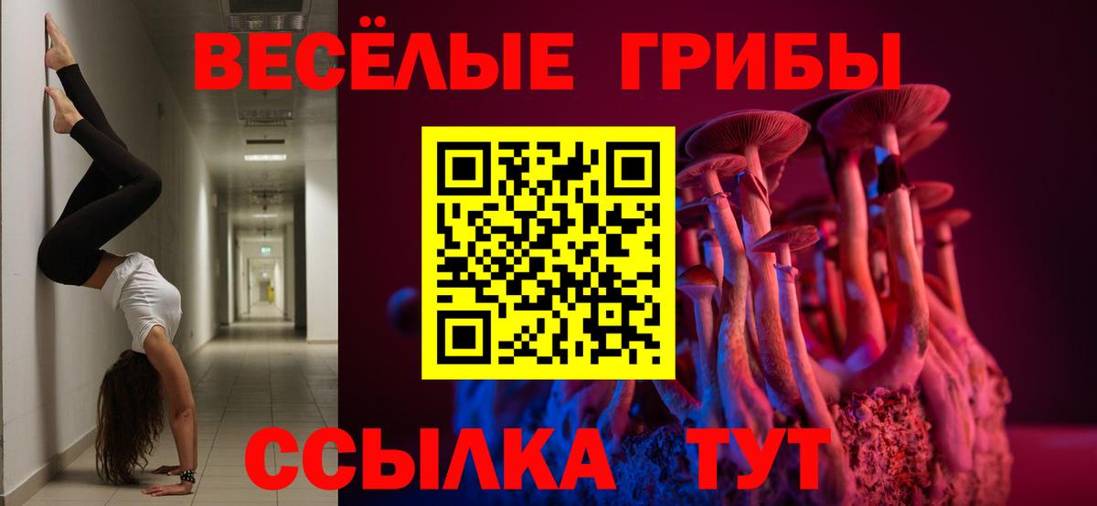 Псилоцибиновые грибы MAGIC MUSHROOMS  Галлюциногенные грибы GOLDEN TEACHER  Вход с VPN  Дербент 